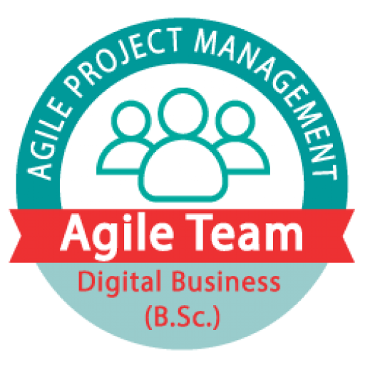 Agile Team